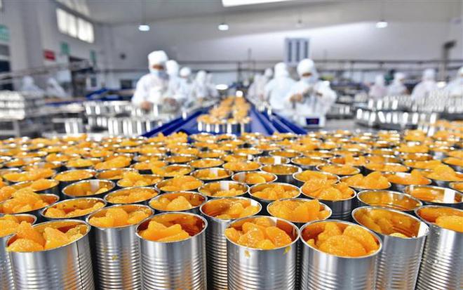 柑橘深加工 延长产业链，拓宽致富路