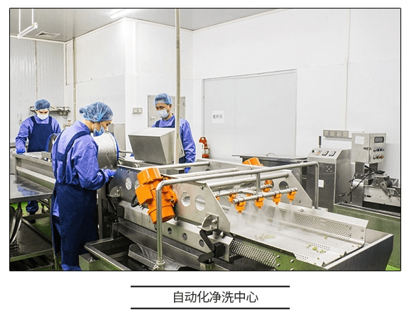 直击工厂溯源 咚吃如何以科技赋能，保障食品安全新高度